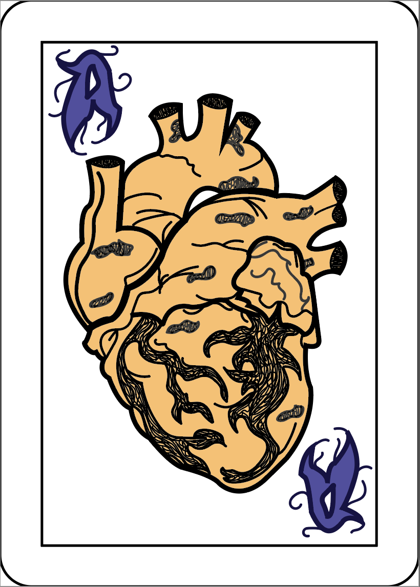 A stylized drawing of a heart in Illustrator